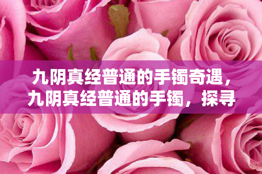 九阴真经普通的手镯奇遇，九阴真经普通的手镯，探寻武侠世界中的神秘宝物