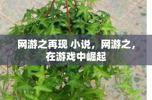 网游之再现 小说,网游之,在游戏中崛起 网游之再现 小说,网游之,在游戏中崛起