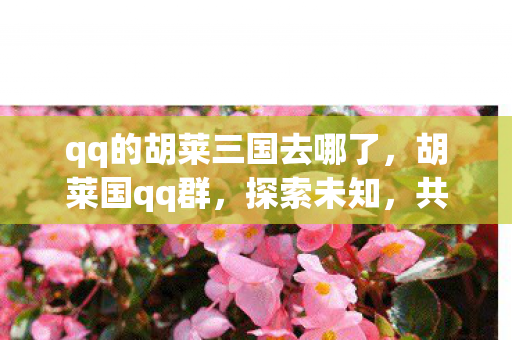 qq的胡莱三国去哪了,胡莱国qq群,探索未知,共享乐趣的虚拟世界 qq的胡莱三国去哪了,胡莱国qq群,探索未知,共享乐趣的虚拟世界