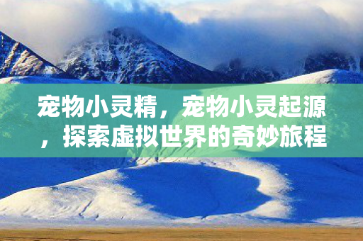 宠物小灵精，宠物小灵起源，探索虚拟世界的奇妙旅程