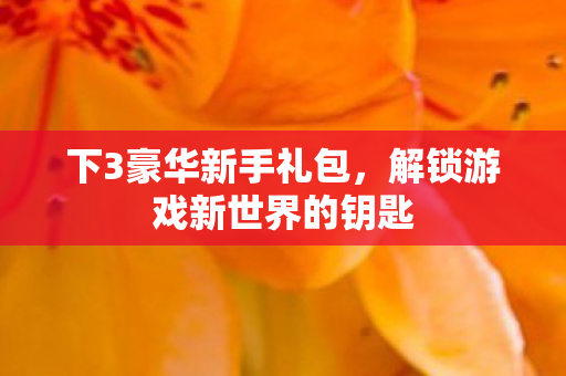 下3豪华新手礼包，解锁游戏新世界的钥匙