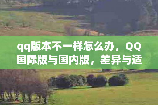 qq版本不一样怎么办,QQ国际版与国内版,差异与适配探讨 qq版本不一样怎么办,QQ国际版与国内版,差异与适配探讨