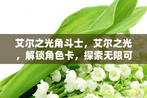 艾尔之光角斗士图片