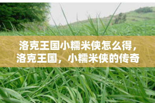 洛克王国小糯米侠怎么得图片