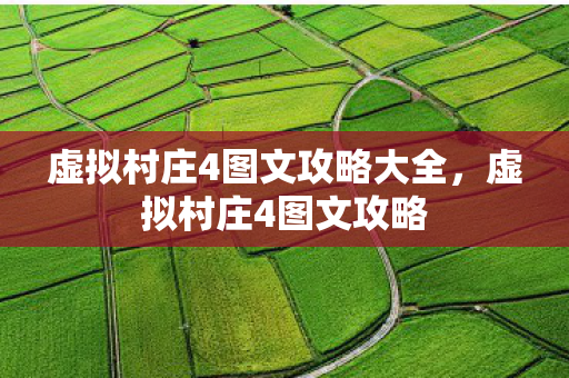 虚拟村庄4图文攻略大全图片