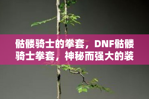 神秘而强大的装备解析图片