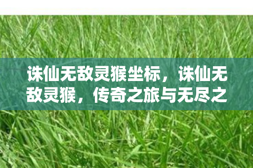 诛仙无敌灵猴坐标，诛仙无敌灵猴，传奇之旅与无尽之力