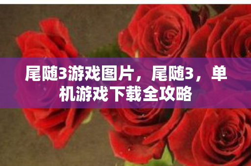 单机游戏下载全攻略图片