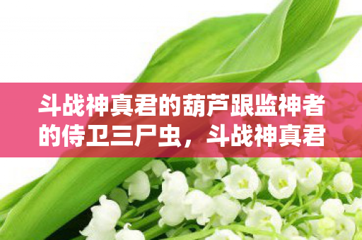 斗战神真君的葫芦跟监神者的侍卫三尸虫图片