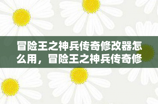 冒险王之神兵传奇修改器怎么用图片