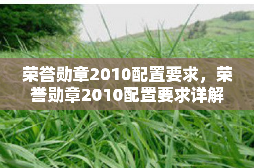 荣誉勋章2010配置要求详解图片