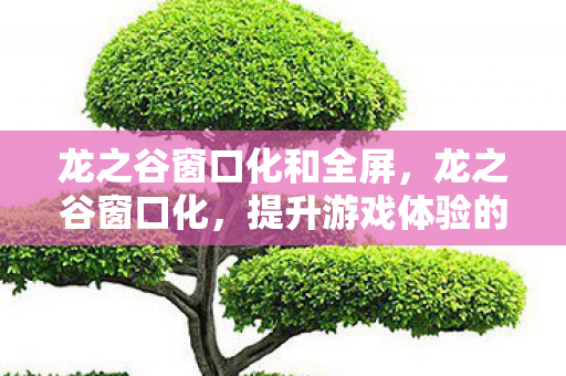 提升游戏体验的实用技巧图片