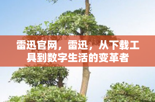 雷迅官网，雷迅，从下载工具到数字生活的变革者
