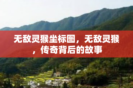 无敌灵猴坐标图，无敌灵猴，传奇背后的故事