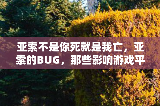 亚索不是你死就是我亡,亚索的BUG,那些影响游戏平衡与玩家体验的问题 亚索不是你死就是我亡,亚索的BUG,那些影响游戏平衡与玩家体验的问题