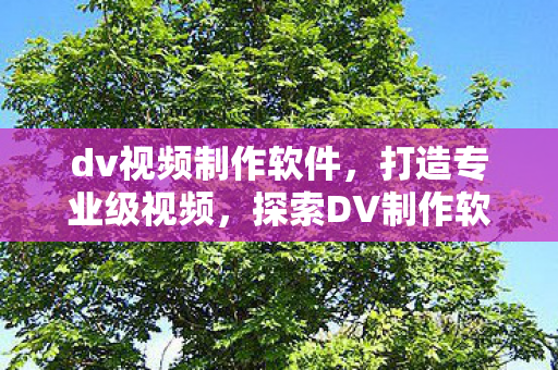 探索DV制作软件的世界图片