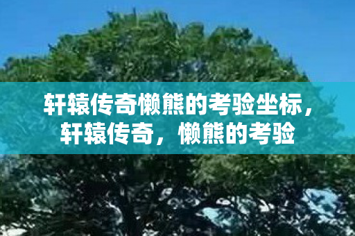 轩辕传奇懒熊的考验坐标，轩辕传奇，懒熊的考验