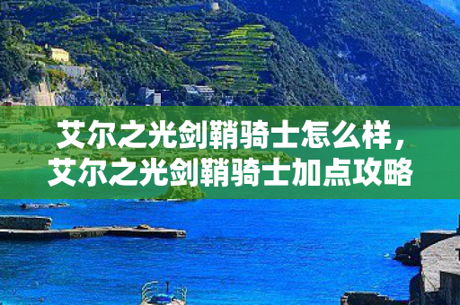 艾尔之光剑鞘骑士加点攻略图片