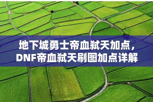 地下城勇士帝血弑天加点，DNF帝血弑天刷图加点详解，打造高效战斗体验