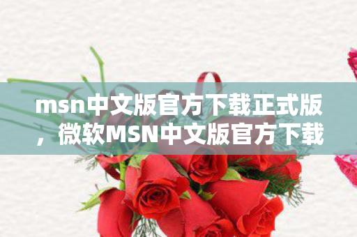 msn中文版官方下载正式版图片