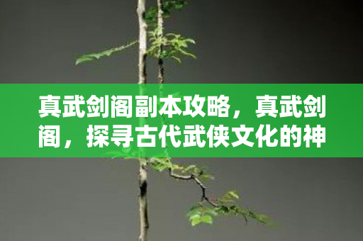 真武剑阁副本攻略，真武剑阁，探寻古代武侠文化的神秘之地