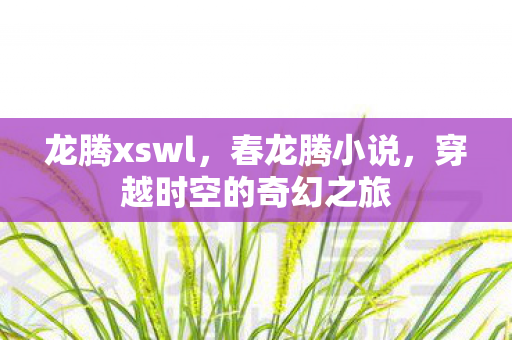 穿越时空的奇幻之旅图片