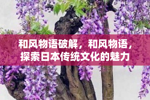 探索日本传统文化的魅力图片