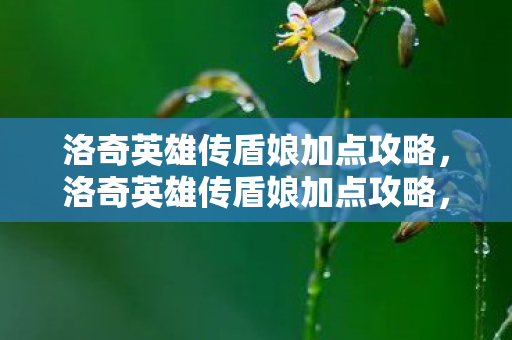 洛奇英雄传盾娘加点攻略图片