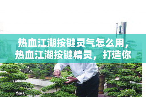 热血江湖按键灵气怎么用图片