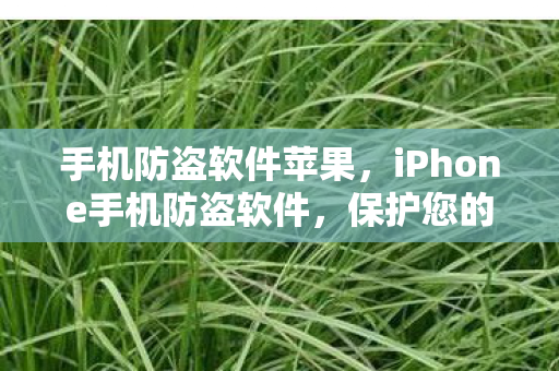 iPhone手机防盗软件图片