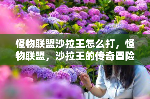 怪物联盟沙拉王怎么打图片