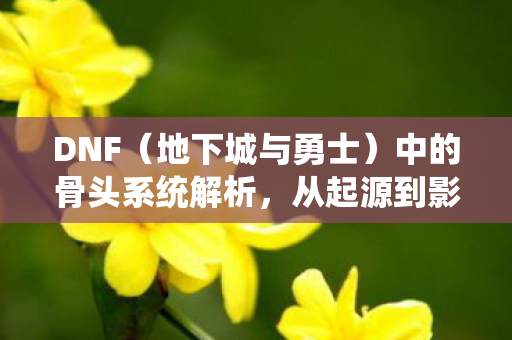 中的骨头系统解析图片