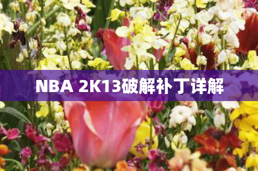 NBA 2K13破解补丁详解