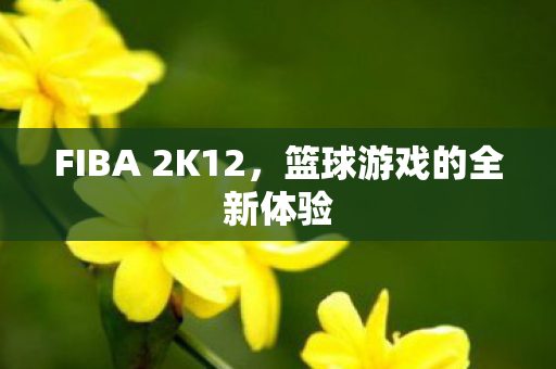 FIBA 2K12，篮球游戏的全新体验