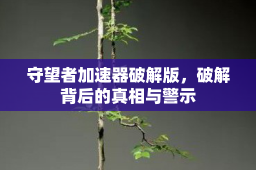 守望者加速器破解版,破解背后的真相与警示 守望者加速器破解版,破解背后的真相与警示