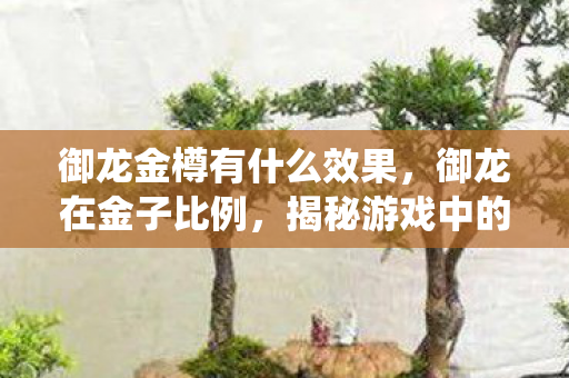 御龙金樽有什么效果，御龙在金子比例，揭秘游戏中的经济系统