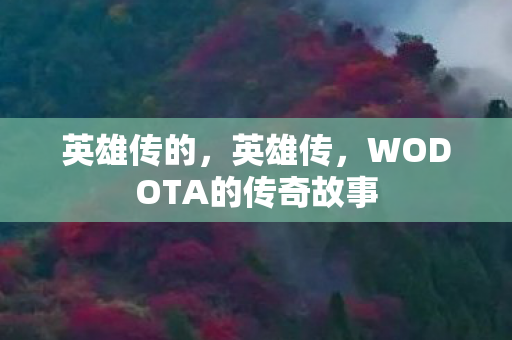 英雄传的，英雄传，WODOTA的传奇故事