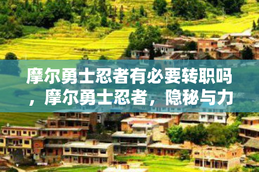 摩尔勇士忍者有必要转职吗,摩尔勇士忍者,隐秘与力量的化身 摩尔勇士忍者有必要转职吗,摩尔勇士忍者,隐秘与力量的化身