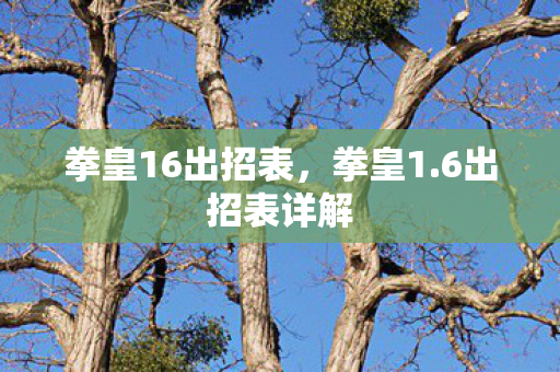 拳皇16出招表，拳皇1.6出招表详解