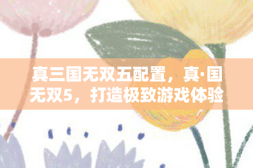 真三国无双五配置，真·国无双5，打造极致游戏体验的硬件配置指南