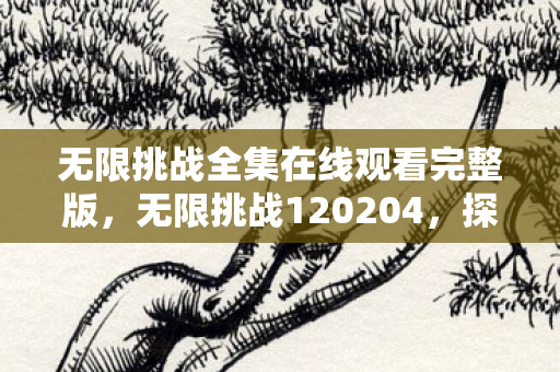 无限挑战全集在线观看完整版，无限挑战120204，探索未知，突破自我