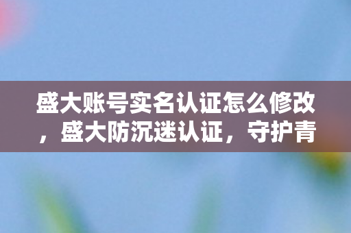 盛大账号实名认证怎么修改，盛大防沉迷认证，守护青少年健康成长的数字防线