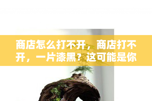 商店怎么打不开,商店打不开,一片漆黑?这可能是你未曾预见的数字困境 商店怎么打不开,商店打不开,一片漆黑?这可能是你未曾预见的数字困境