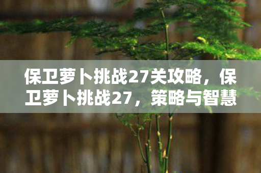 保卫萝卜挑战27关攻略,保卫萝卜挑战27,策略与智慧的双重考验 保卫萝卜挑战27关攻略,保卫萝卜挑战27,策略与智慧的双重考验