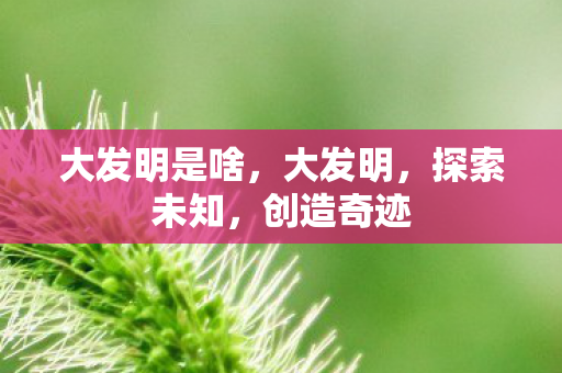 大发明是啥，大发明，探索未知，创造奇迹