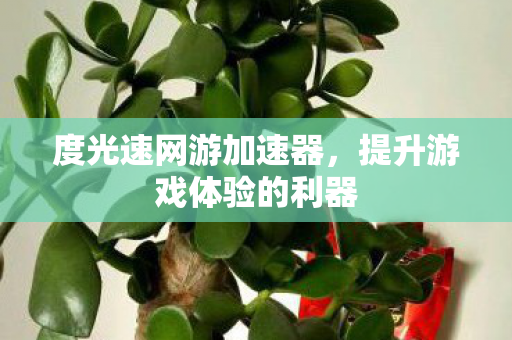 度光速网游加速器，提升游戏体验的利器