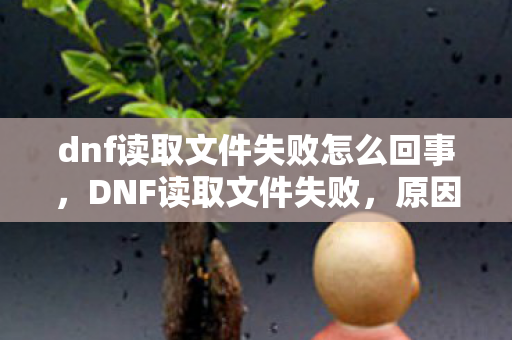 dnf读取文件失败怎么回事，DNF读取文件失败，原因分析与解决策略