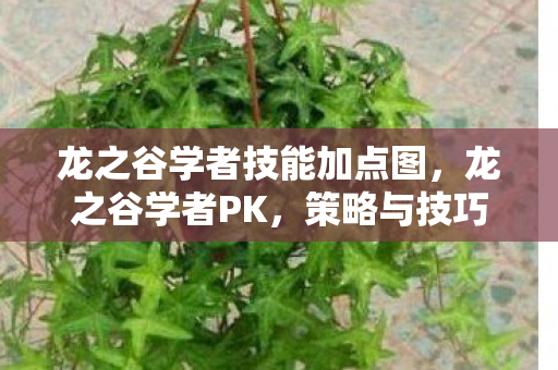 龙之谷学者技能加点图,龙之谷学者PK,策略与技巧的深度剖析 龙之谷学者技能加点图,龙之谷学者PK,策略与技巧的深度剖析