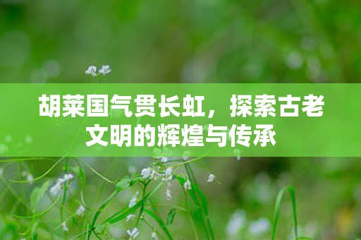 胡莱国气贯长虹，探索古老文明的辉煌与传承