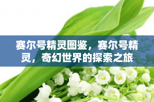 赛尔号精灵图鉴，赛尔号精灵，奇幻世界的探索之旅